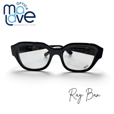 RAY BAN Smoke